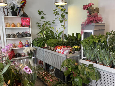 Blumenhaus Rogge - Lotterstrasse