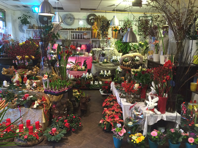 Blumenhaus Rogge - Lotterstrasse