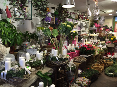 Blumenhaus Rogge - Lotterstrasse