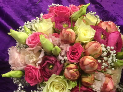 Blumenhaus Rogge - Lotterstrasse