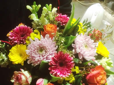 Blumenhaus Rogge - Lotterstrasse