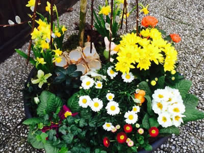 Blumenhaus Rogge - Lotterstrasse