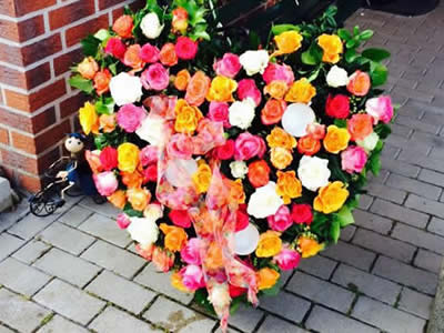 Blumenhaus Rogge - Lotterstrasse