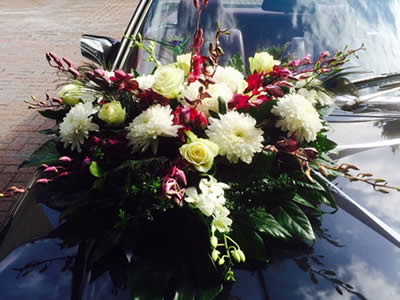 Blumenhaus Rogge - Lotterstrasse