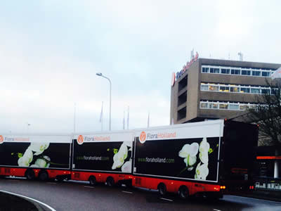 Blumenhaus Rogge - Lotterstrasse