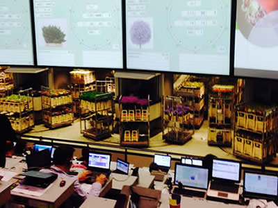 Blumenhaus Rogge - Lotterstrasse