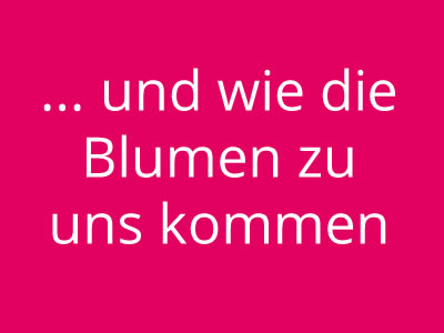 Blumenhaus Rogge - Lotterstrasse